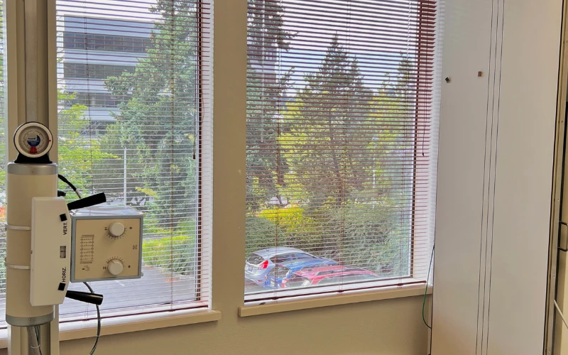 Insight Family Chiropractic Office Tour 3